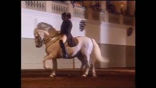 Spanische Reitschule Wien 1994 26  Pas de Deux [upl. by Attela]