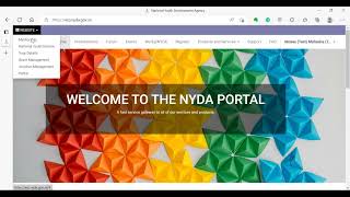 NYDA Funding  Check your Grant Application Status  Stepbystep Guide [upl. by Neleag177]