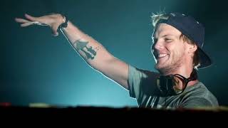 AVICII MIX 2023 [upl. by Naghem]