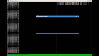 Very basic X11 window from scratch [upl. by Aicul]