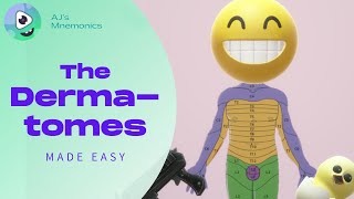 How to Easily Memorize the Dermatomes [upl. by Hanonew516]