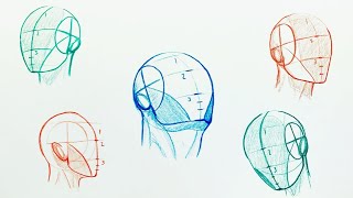 How to Easily Draw Heads  Understanding the Loomis Method [upl. by Pinkham]