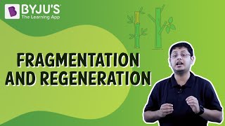 Fragmentation And Regeneration  Class 7  Learn With BYJUS [upl. by Eberhart]