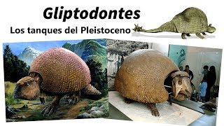 Gliptodontes Conoce a los tanques del Pleistoceno [upl. by Aral]