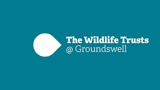 The Wildlife Trusts  Groundswell  30 by 30 [upl. by Nitsreik951]