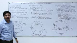 Life cycle of Plants amp Alternation of Generation Plant Kingdom English Medium [upl. by Esiom956]