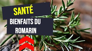 Les Bienfaits du Romarin Expliqués  Une Plongée Profonde dans cette Herbe Miraculeuse [upl. by Lemon]