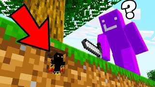 Using TINY MOD To Prank My Friend in Minecraft [upl. by Tia337]