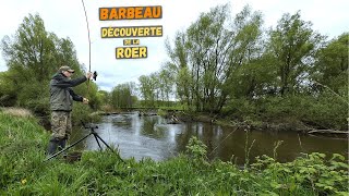 À la recherche du barbeau sur la Roer une rivière pittoresque [upl. by Mcgill576]