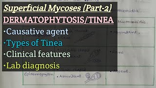 Dermatophytosis  Causative agent  Types of Tinea  Clinical Feature  Lab diagnosis [upl. by Notneb]