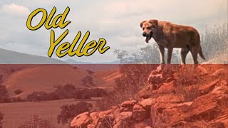 Old Yeller  Theme Song Polish 1962 [upl. by Calise297]