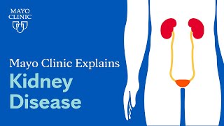 Mayo Clinic Explains Kidney Disease [upl. by Nadruoj]