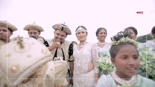 MAKING VIDEO  Studio Bravo Dilini amp Sandaru Wedding Day [upl. by Litt]