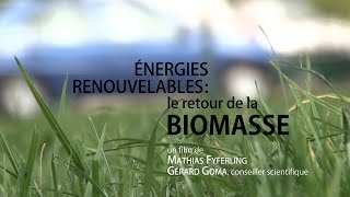 Énergies renouvelables  le retour de la biomasse [upl. by Sobmalarah]