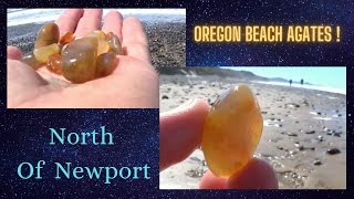 Oregon Beach Agates  North Of Newport spring 2021 Road Trip Part 10 By Quest For Details [upl. by Blockus]