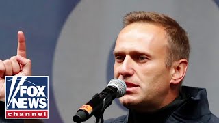 Alexei Navalny was at Siberian death camp says exCIA official [upl. by Cannice386]