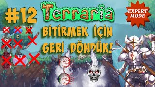 Mechanicler TOPLANIN   OYUN YAYINI  Terraria 12 [upl. by Zurek]