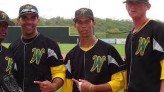 Andrelton Simmons  2010 Draft Video  2nd Round  Western Oklahoma St College [upl. by Loferski583]