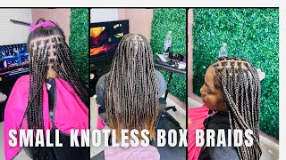 Small knotless box braids waist length try this Method Tonlo451 knotlessbraids knotless [upl. by Cariotta]