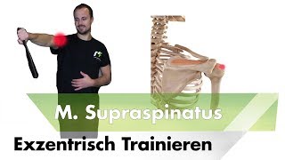 Exzentrisch training supraspinatus [upl. by Ardeid]