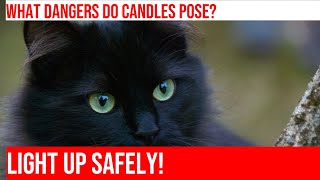 Cats amp Candles Fire Safety Tips for Pet Owners [upl. by Cynthea]