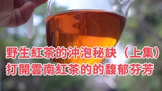 一起學懂普洱茶系列課程：野生紅茶的沖泡秘訣（上集）打開雲南紅茶的的馥郁芬芳 [upl. by Dinesh]