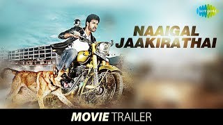 Naaigal Jaakirathai Official Trailer  Sibi Sathyaraj  Shakti Soundar rajan  Dharan Kumar [upl. by Assirolc]