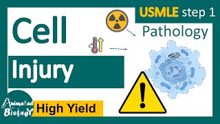 Cell Injury  Reversible vs Irreversible cell injury  General Pathology Animated USMLE step1 [upl. by Annalee]