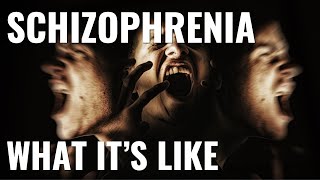 What its like to have schizophrenia [upl. by Otiv]