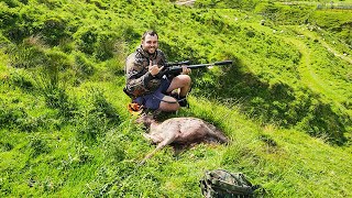 24 hrs in Whanganui NZ Hunting Fallow Deer amp Trout Fishing  Catch amp Cook 2024 HD [upl. by Grane]