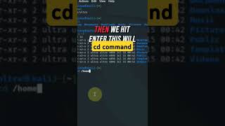 Navigating Kali Linux Mastering the Cd Command [upl. by Eidroj]