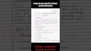 Dinosaurs Fossils Study  study of fossilsextinct models dinosaurszoologypaleontologypractical [upl. by Varin]