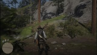 Red Dead Redemption 2 2nd Random Gold Bar Location [upl. by Ritchie]