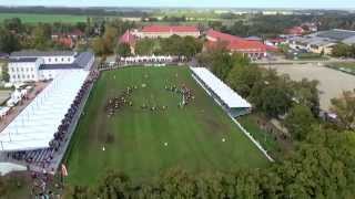 Hengstparade im Haupt und Landgestüt Neustadt Dosse 2014 [upl. by Upshaw]