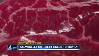 Salmonella outbreak linked to turkey [upl. by Stenger]