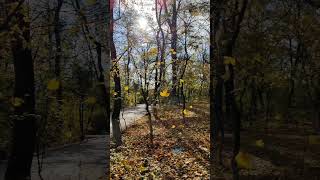 Qusar naturelovers autumn travel quba qusar greennature [upl. by Jessika]