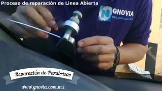 Reparacion de Parabrisas Estrellado Como Reparar Vidrio Panoramico fisurado Reparador de Luna CDMX [upl. by Rosen411]