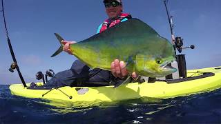 Hobie Livewell tips and tricks with Morgan Promnitz [upl. by Corel]