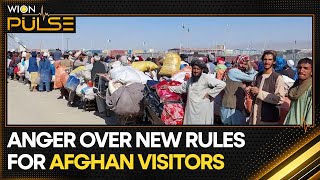 Thousands protest at AfghanPak border  WION Pulse [upl. by Holsworth]