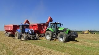 TRACTORS IN ACTION  SUMMER HARVEST 3  ŽNĚ KOLNÝ 16 [upl. by Airotal972]