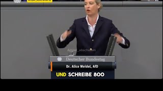 31012024 🔥 Alice Weidel Rede im Deutschen Bundestag 🔥 [upl. by Mycah]