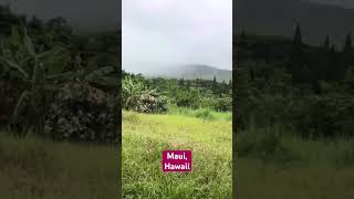 “Fairly dormant” haleakala volcano scenicview maui shortvideo shorts PawpawSammyAlyBug [upl. by Aramo]