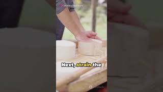 Cheese Making 101 A Quick Guide shorts viral [upl. by Merrill]