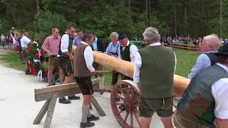 Maibaumaufstellen 2018 im Freilichtmuseum [upl. by Monarski]