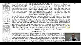 Sotah Daf 14a Daf Yomi Gemara Talmud Meseches Sotah [upl. by Benco]