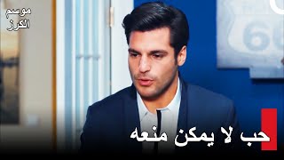 موسم الكرز الحلقة 79 Kiraz Mevsimi  الحب يستحق كل شيء [upl. by Ahsuatan277]