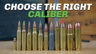 Every AR15 Caliber Explained [upl. by Anilatsyrc]