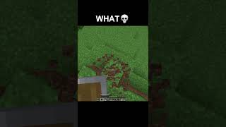 Minecraft WHAT Moment minecraft shorts minecraftshorts [upl. by Freya]