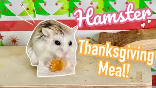 My Hamster Eats a Tiny Thanksgiving Meal [upl. by Munniks]