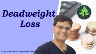 Deadweight Loss in Hindi [upl. by Euqinoj]